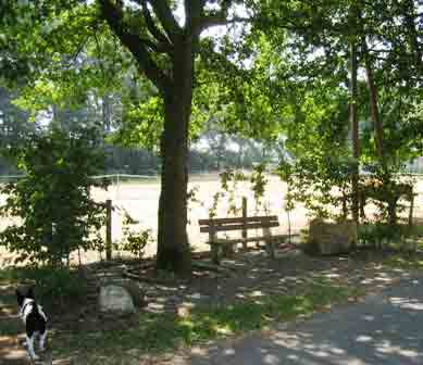 Treffpunkt-Meeting Point-Punto de Encuentro Kreulkerhok